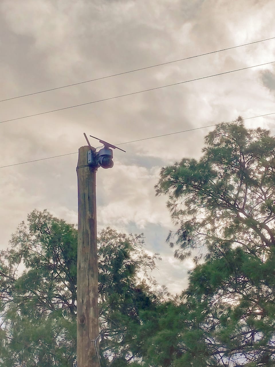 CONTAINER STORAGE CONTAINER STORAGE